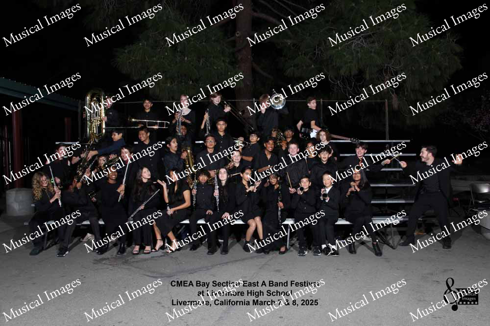 Musical Images